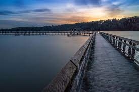 We did not find results for: High Tide At Nisqually National Wildlife Refuge Washington