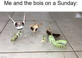 A way of describing cultural information being shared. Hallelujah Meme Guy