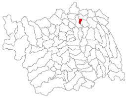 Localitatea margineni se găsește în județul bacau. PrÄƒjeÈ™ti Wikipedia