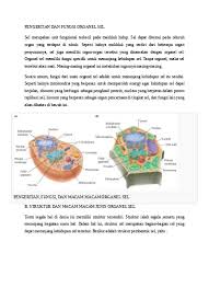 Titik posisi yang baru bisa segera diketahui. A Struktur Dan Fungsi Sel Prokariotik Struktur Dan Fungsi Sel Pdf
