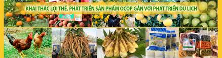 Trang chủ - Chuyên trang OCOP