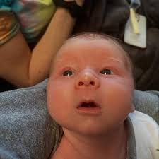 Daniel Castan (@dcast_) • Instagram photos and videos