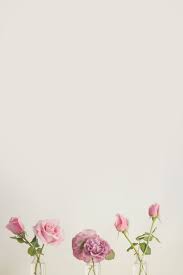 Find & download free graphic resources for pink background. Minimalist Flower Wallpaper
