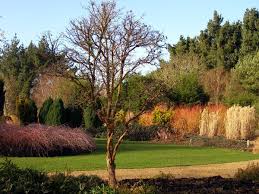 Sir Harold Hillier Gardens And Arboretum Winter Garden Arboretum Garden Images