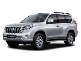 بكتيريا الضباب الدخاني حيوية برادو كوبيه للبيع newhongfa com