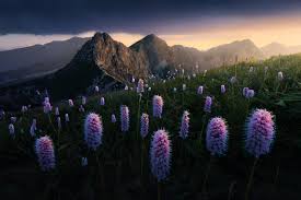 Top 10 amazing art installations that defined the past year best of 2018: Winners Of Eea S Rediscover Nature Photo Competition Announced European Environment Agency