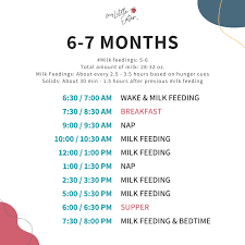 How to set up a feeding schedule for babies 6+ months old