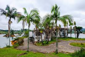 Check spelling or type a new query. Pablo Escobar S Abandoned Mansion Is Turned Into A Paintball Arena And It S Pretty Spooky Bored Panda