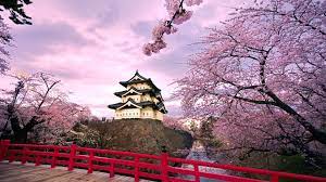 Japan street illustration, digital art, artwork, city, architecture. Spring In Japan Wallpapers Top Free Spring In Japan Backgrounds Wallpaperaccess