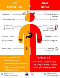 Climate change is predicted to greatly affect marine, freshwater, and terrestrial life, from plankton and corals to fishes and forests (ipcc 2018 , 2019 ). With Out Current Heat Wave I Think People Should Be Aware Of The Dangers Of It How To Recognize Signs And Symptoms And When To Act Vancouver