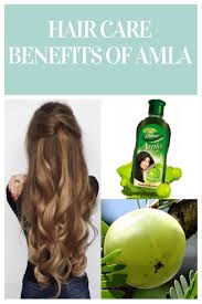 Hair Care Benefits Of Amla Amla Oil Hair Growth Hair Oil Benefits Amla Hair Oil