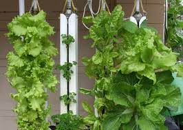 Aquaponics Towers And Spreading The Flow Into Them Aquaponic Lynx Llc