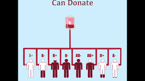 Blood Type Compatibility Chart