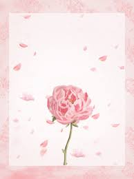 خلفية زهرية أنيقة ورود مرسومة باليد خلفية رومانسية جميلة بتلات تسقط خلفية الزهور أنيقة خلفية صورة الخلفية للتحميل مجانا