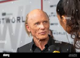Ed Harris attends HBO's "Westworld" Season 4 premiere at Alice Tully Hall,  Lincoln Center in New York City. (Photo by Ron Adar