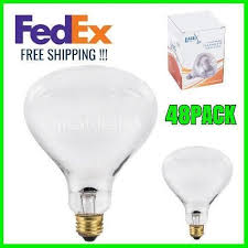 48 Pack 250 Watt Infrared Heat Lamp Light Bulb Lavex Light Bulb Lamp Light Heat Lamps