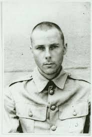 Richard Henry Peterson Collection