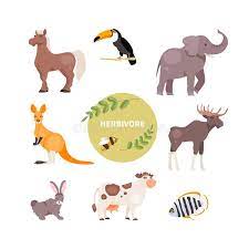 These animals cannot digest meat. Herbivorous Animals Vector Stock Vector Illustration Of Symbol 158042728
