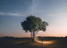 Kegagalan demi kegagalan membuat orang frustasi lalu membenci dirinya sendiri, karenanya banyak yang kemudian mencari kambing hitam. Kehilangan Diri Sendiri Madrasah Digital