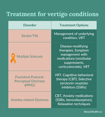 Image result for Vertigo Management