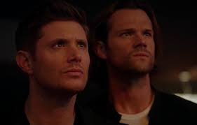 Posts with replies by Joy Howell (@Joy441972)