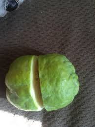 Fruit tree curly leaf treatment. Bumpy Green Fruit Tree