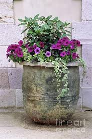 Flower Pot 3 Joli Jardin Planter Des Fleurs Amenagement Jardin