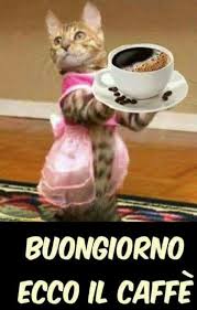 Meme, aneddoti e consigli sul mondo di noi mamme.perché ogni giorno sia un buongiorno! Buongiorno Link Divertenti Baciogiorno It
