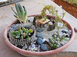 Maybe you would like to learn more about one of these? Fudgewart Dish Garden Indoor Fairy Gardens Mini Garden