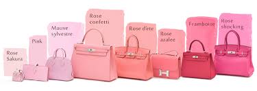 The Different Rose Colors & Their Meaning - Sara Verdier