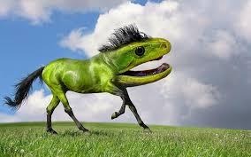 15 New Animal Species Bred In Photoshop Bizarre Animals Photoshopped Animals Weird Animals