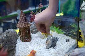 Though dumping some items in to bottom of your tank can add beautiful look to your fish tank, getting some decoration items to hang from the top of your tank would be a great and genius unexplored idea to make your tank look very. 15 Diy Aquarium Decoration Ideas You Can Make At Home With Pictures