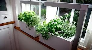 You should plant your herb garden in the sunniest spot in your garden. 4 Fun Creative Tips For Growing An Indoor Herb Garden Sustainable Gardening News