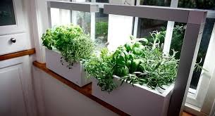 In general, if an herb does well in partial shade outdoors, it will do well in a sunny indoor exposure. 4 Fun Creative Tips For Growing An Indoor Herb Garden Sustainable Gardening News