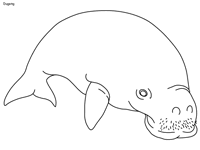 You will need a pdf reader to view these files. Great Barrier Reef Coloring Pages