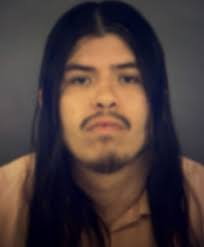 Horizon PD arrests multiple people resulting from traffic stops, dispatched  calls