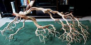 $7.99 · aquarium driftwood is one of the basic elements used in almost all aquascaping styles. Choosing The Best Aquarium Driftwood Aquarium Info