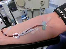 Does Donating Plasma Make You Gain Weight Happy Health