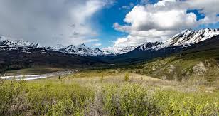 Check spelling or type a new query. Tombstone Territorial Park Bis Dawson City Wohnmobiltour Yukon