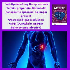 Image result for Overwhelming Postsplenectomy Infection