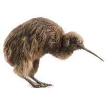 Ostriches can run at speeds of up to 43 miles per hour, but they are no match for the cheetah, which tops out at 75 miles per hour. Ostrich Facts For Kids Ostriches Running Dk Find Out