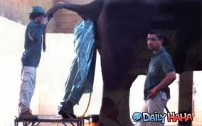 Pin On Not Going To Do This Today