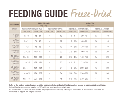 Dog Feeding Guide Freeze Dried K9 Natural