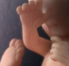 Calculez votre semaine et mois de grossesse. 21 Semaines De Grossesse 23 Semaines D Amenorrhee