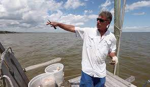 Residents and visitors alike won't have to look far for beaches in alabama. Flesh Eating Bacteria Easy To Avoid Just Swim In The Gulf Not Bays Says Expert Al Com