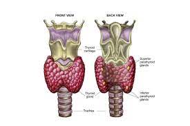 Pin On Acupressure