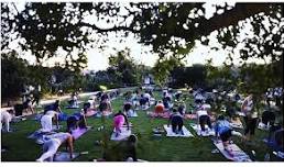 Pilates In The Park