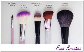 learn basic makeup tools for beginners