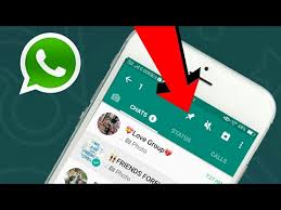 Whatsapp New Feature Pinned Chat Hindi Youtube