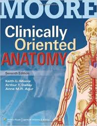 Klm Clinical Anatomy Pdf Free Download Anatomy Flashcards Medical Textbooks Anatomy